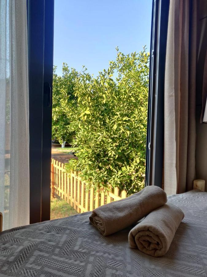 Gaia Tiny Houses Butik Hotel Bodrum Eksteriør billede