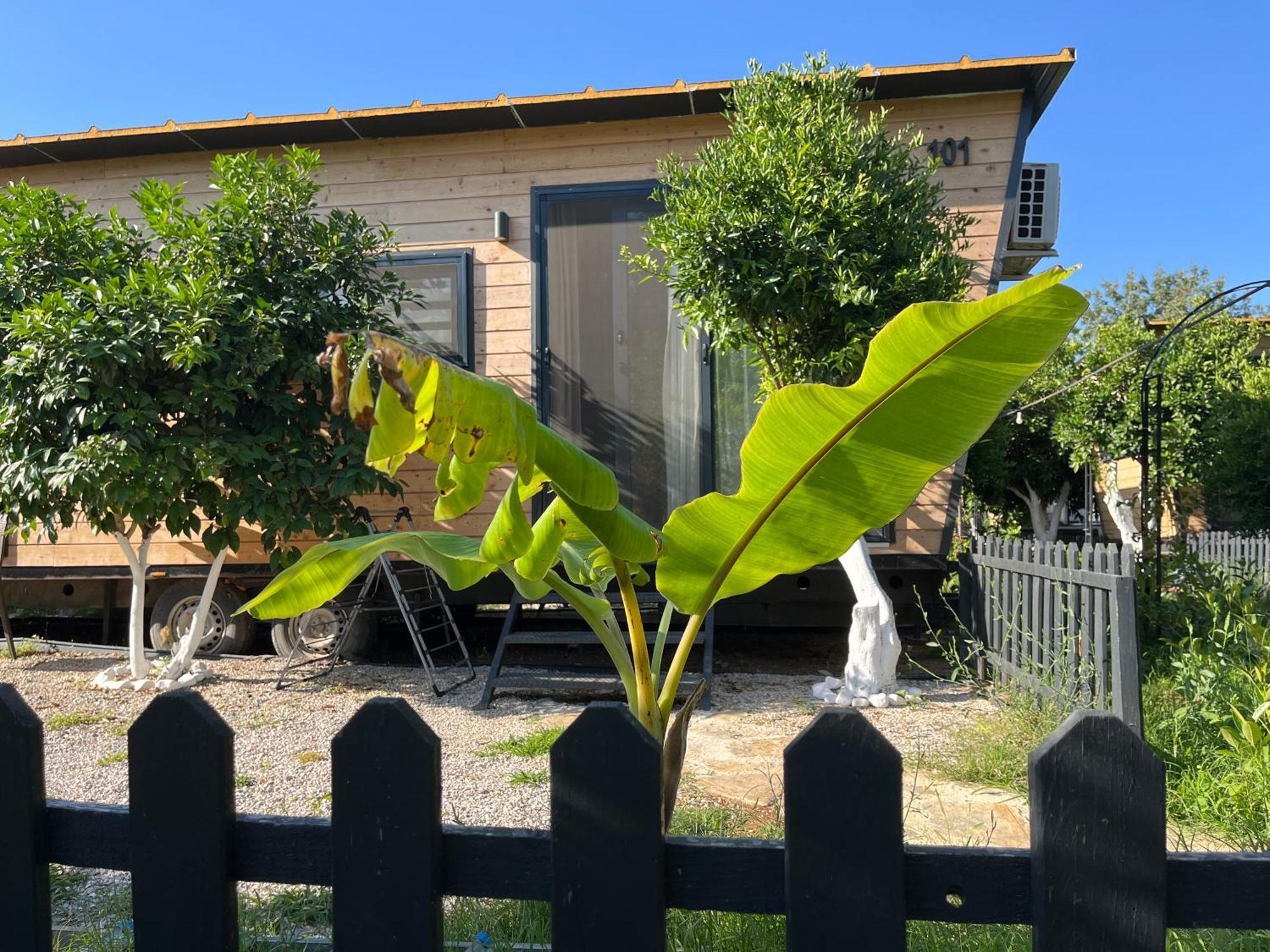 Gaia Tiny Houses Butik Hotel Bodrum Eksteriør billede